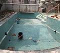 renovation-pool-kontraktor